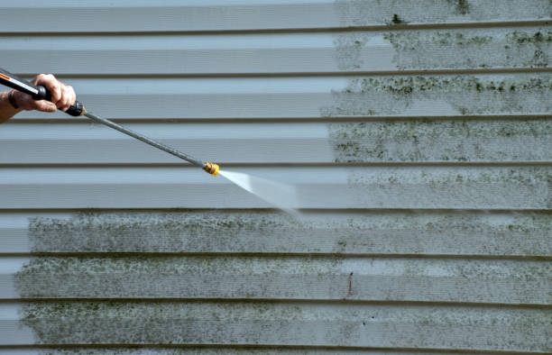 Best Gutter Cleaning and Brightening in Louisa, VA